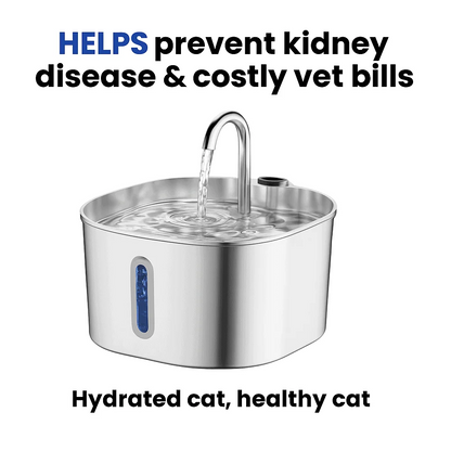 Stainless steel pet water fountain with text about preventing kidney disease and costly vet bills.
