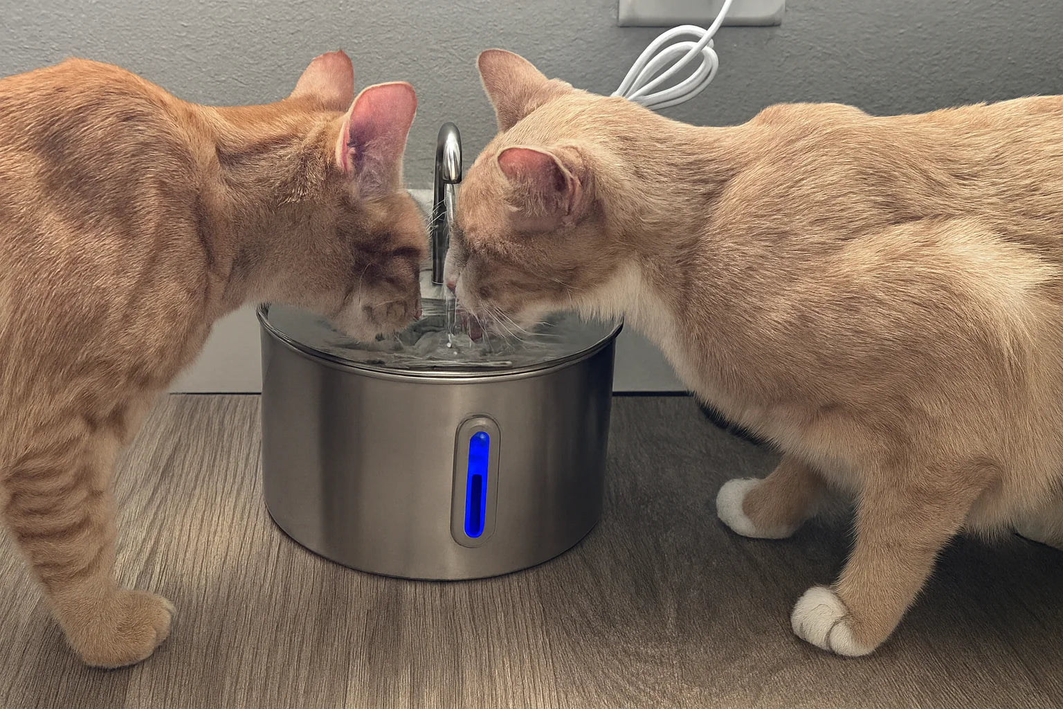 Two cats drinking water from a modern pet fountain on a wooden floor.
