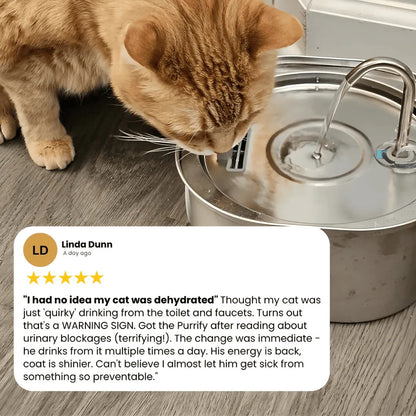 4 Month Kit: Purrify Fountain + 8 filter sets + FREE Gift 🎁